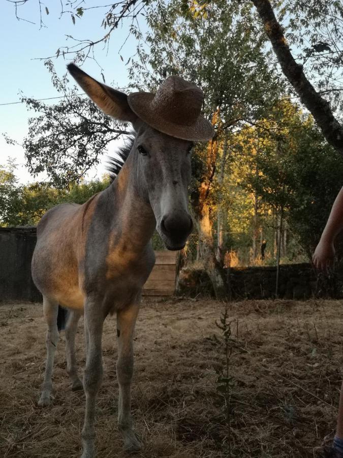 A Maquia Do Pousavedra Sober Buitenkant foto